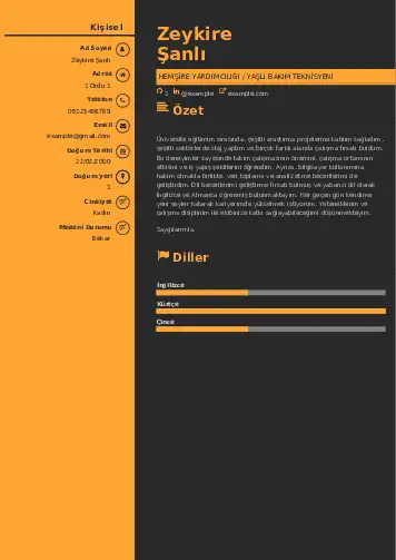 cv indir